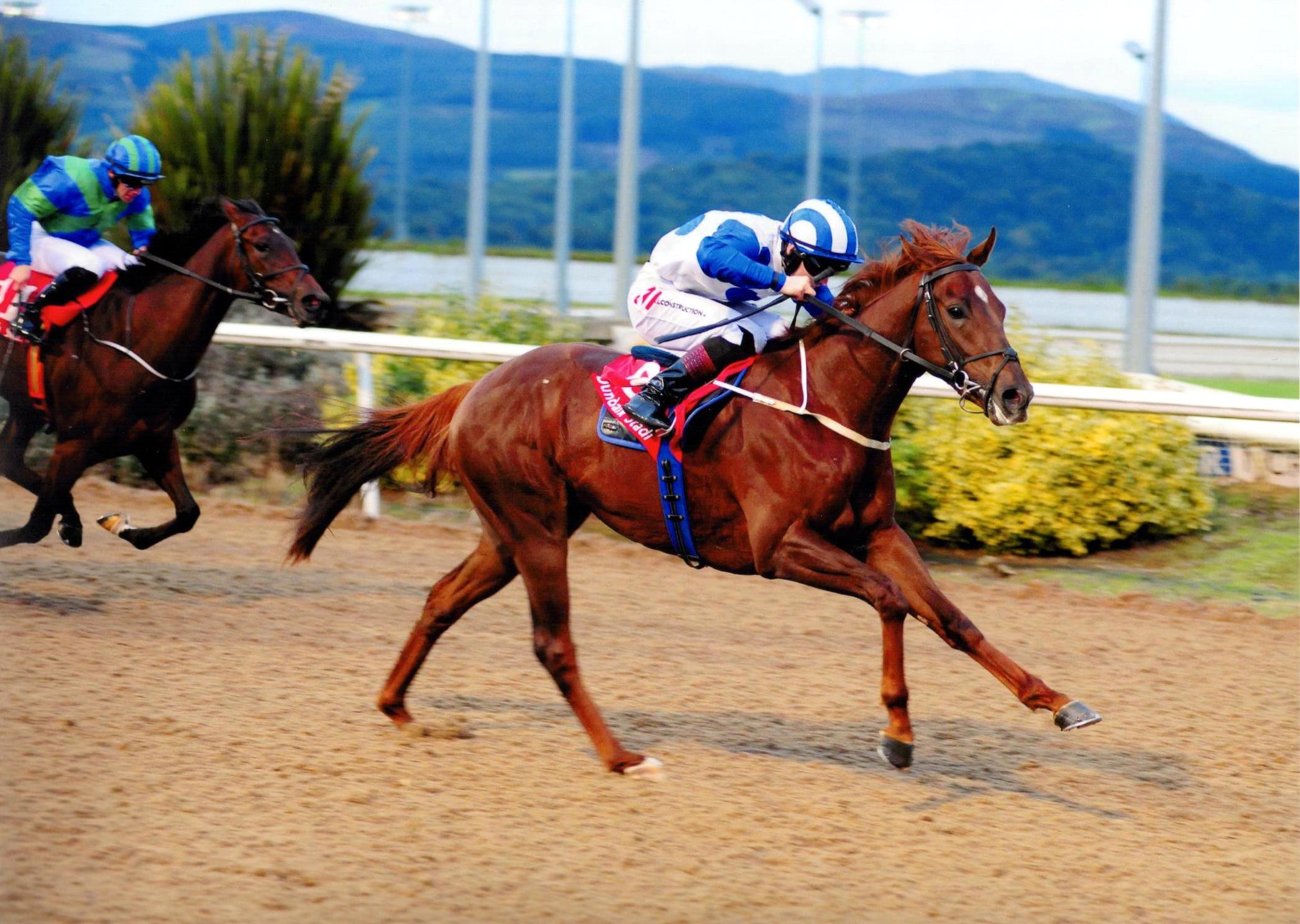 GLASTONBURY SONG brings up a double on the card at Dundalk 30th September 2016